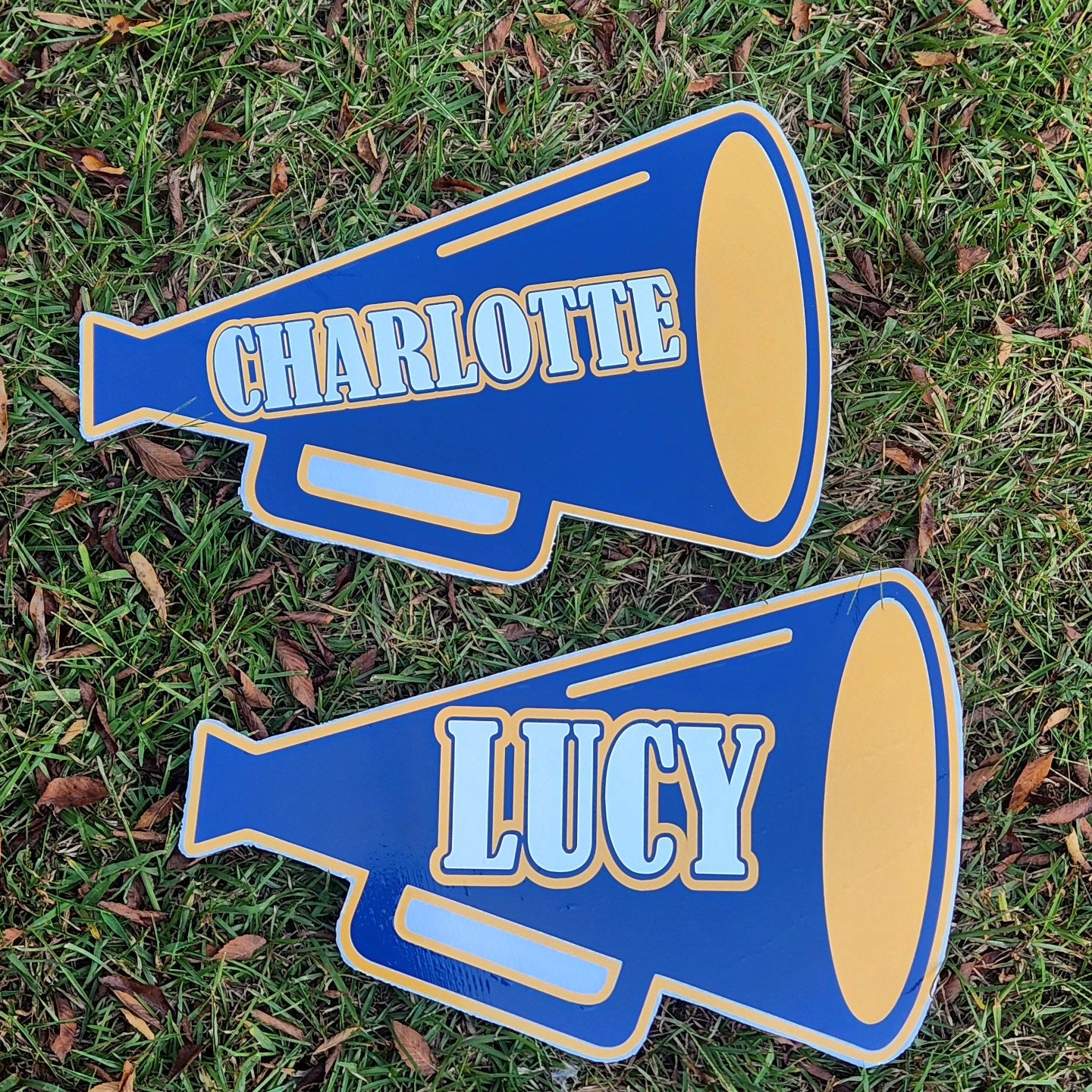 Cheer Megaphone Sign
