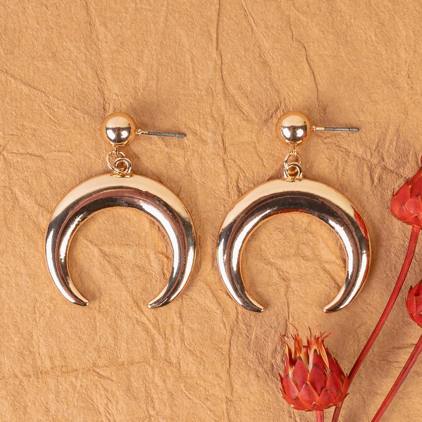 Western Earrings